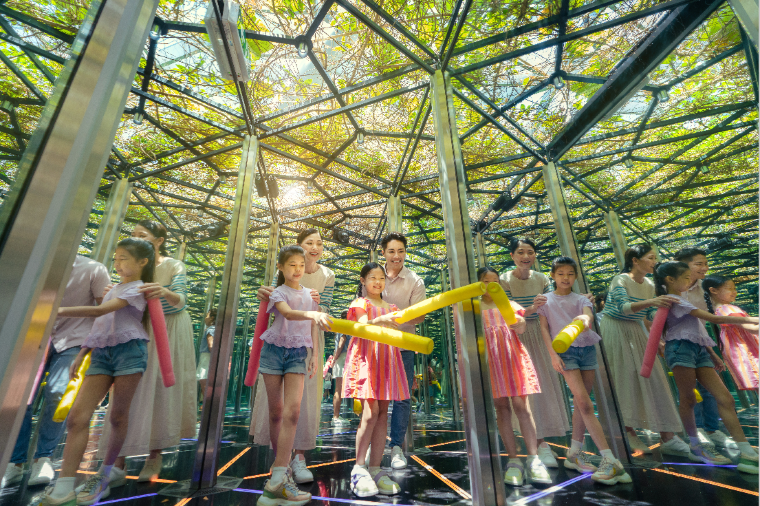 Mirror Maze